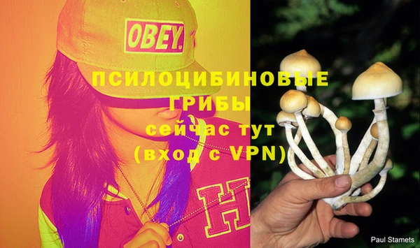прущие крисы Алексеевка
