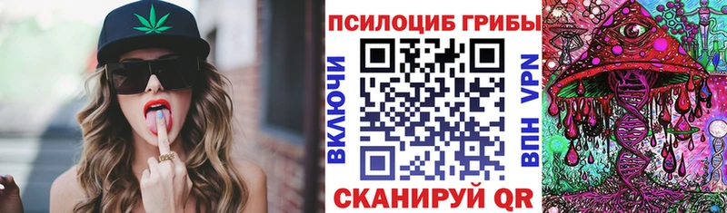 где можно купить наркотик  Новоузенск  Псилоцибиновые грибы прущие грибы 