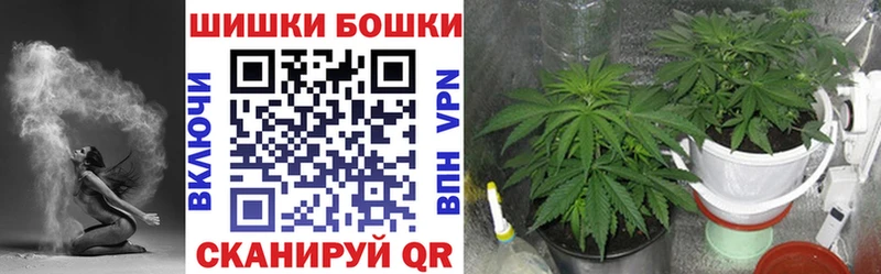 Канабис THC 21%  кракен зеркало  Новоузенск 